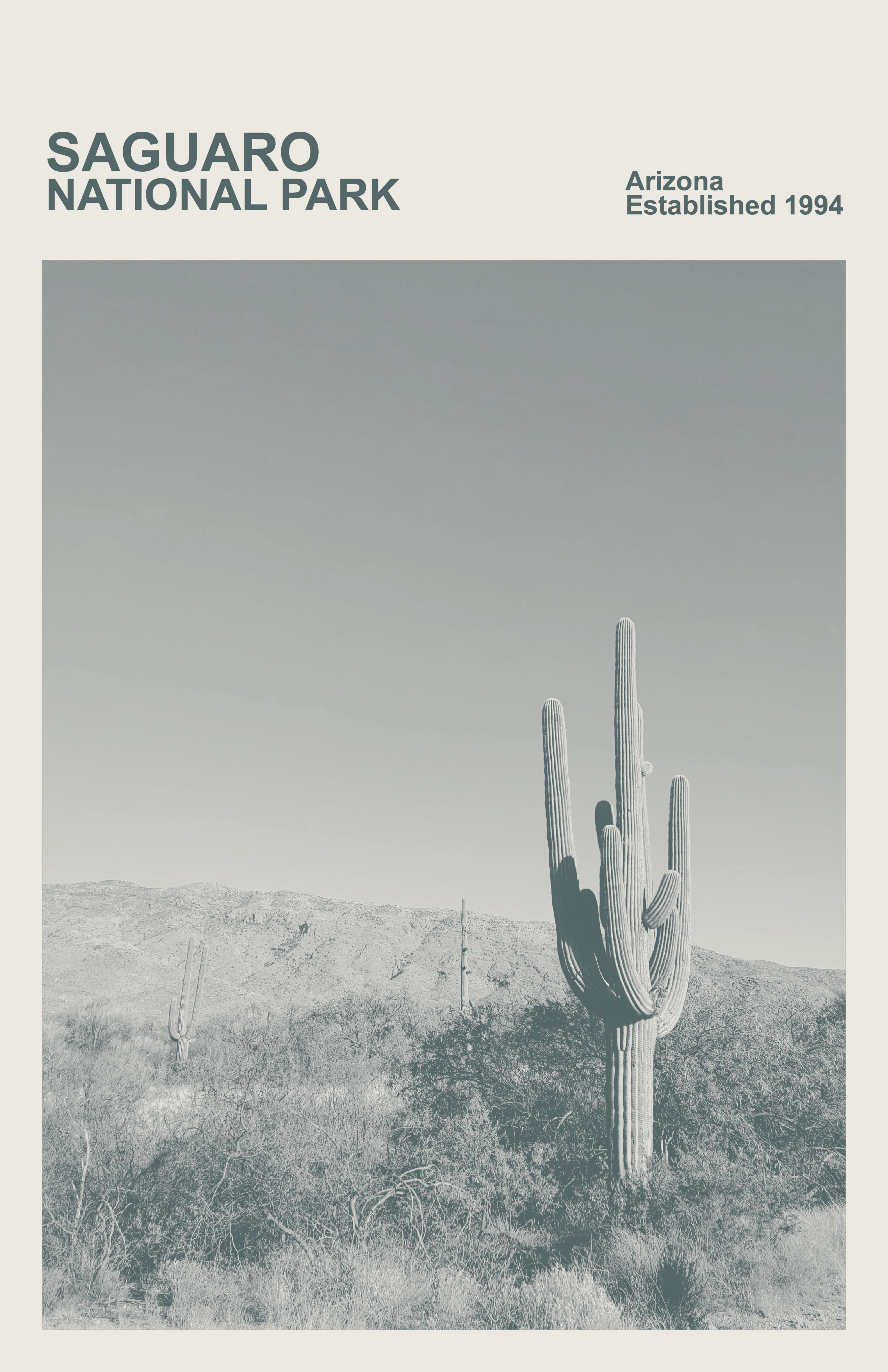 Saguaro National Park Print, Monochrome