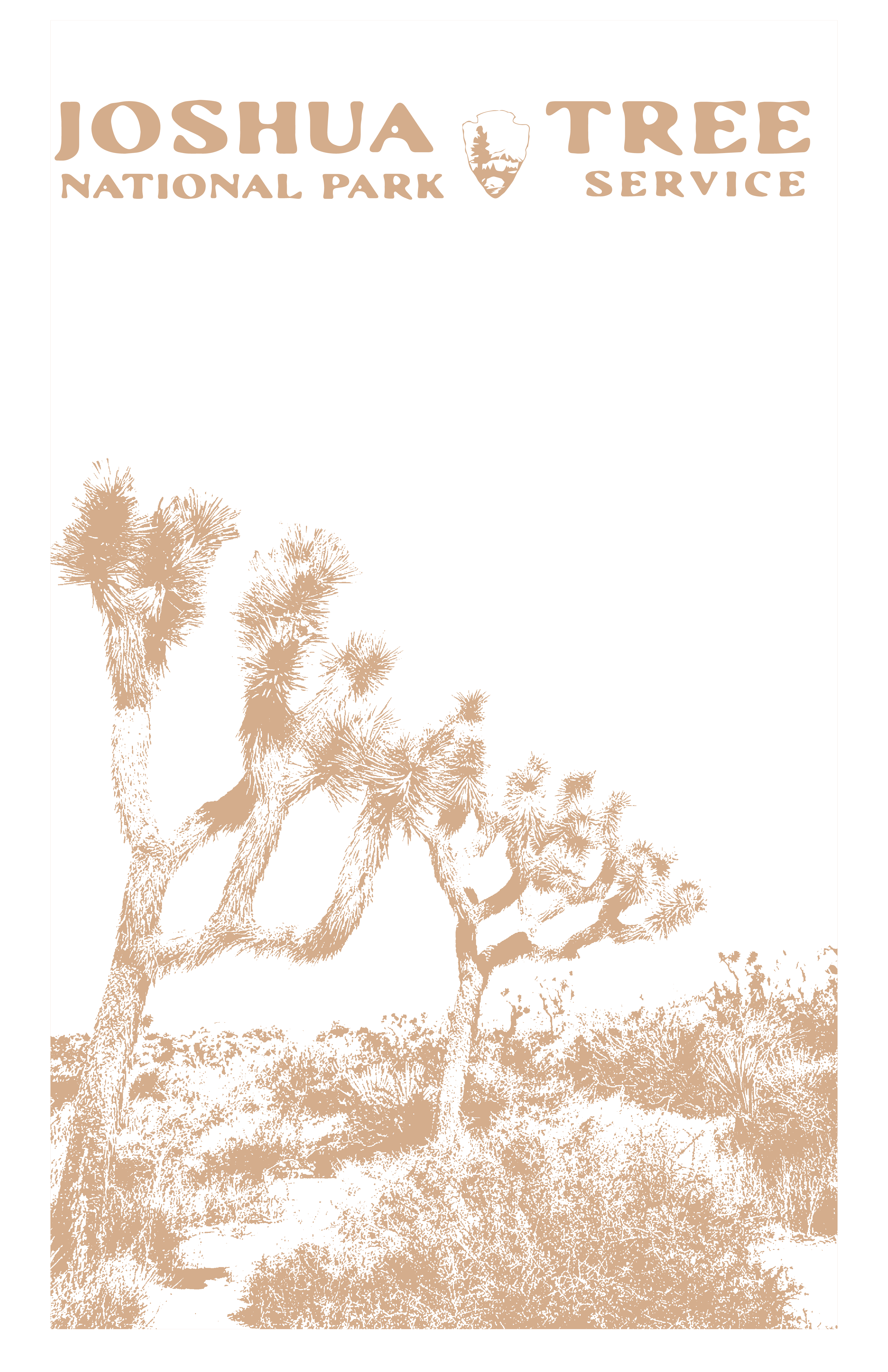 Joshua Tree Print