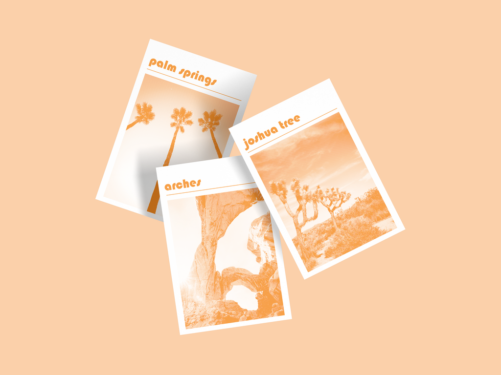 Palm Springs Print, Orange
