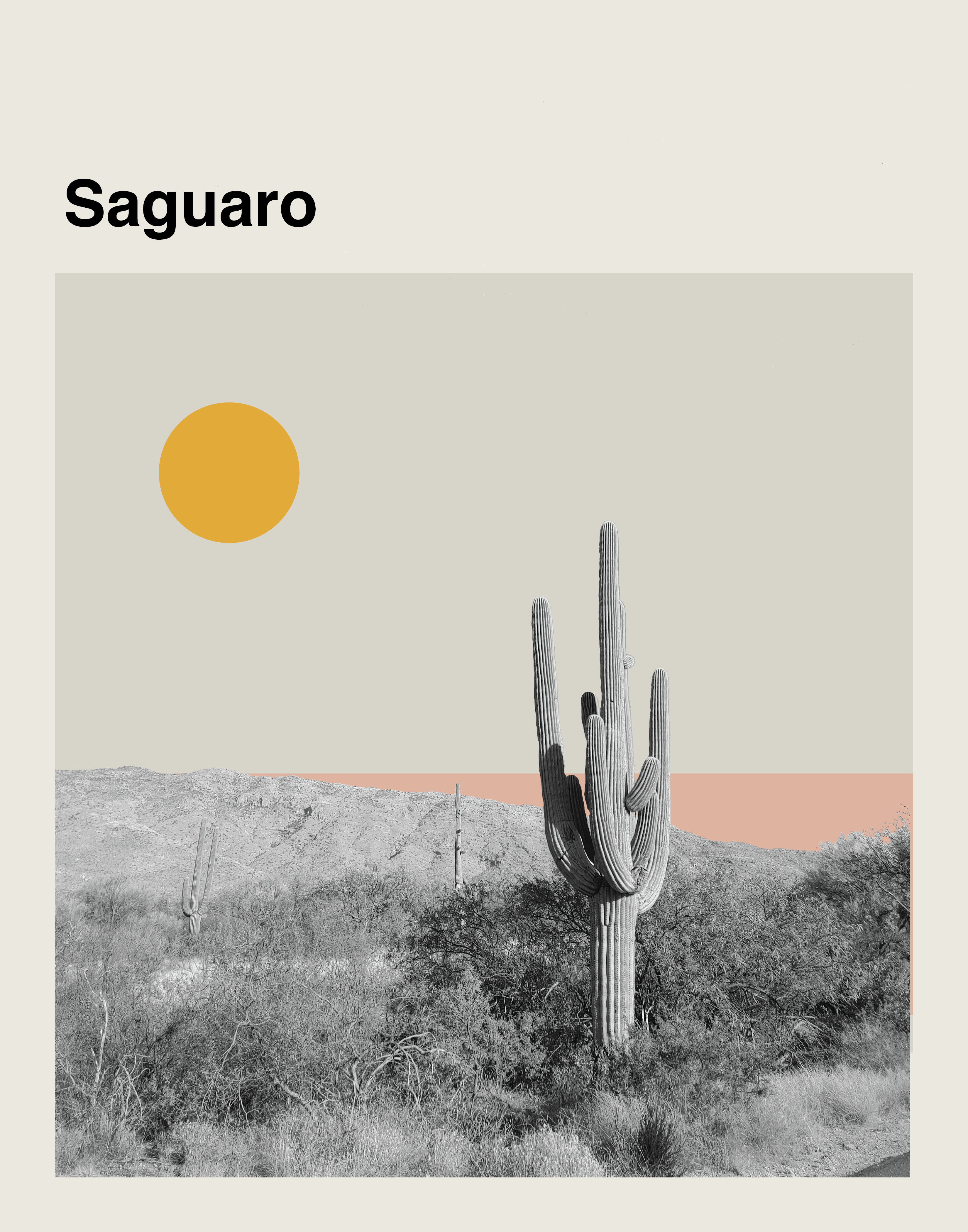 Saguaro National Park Print