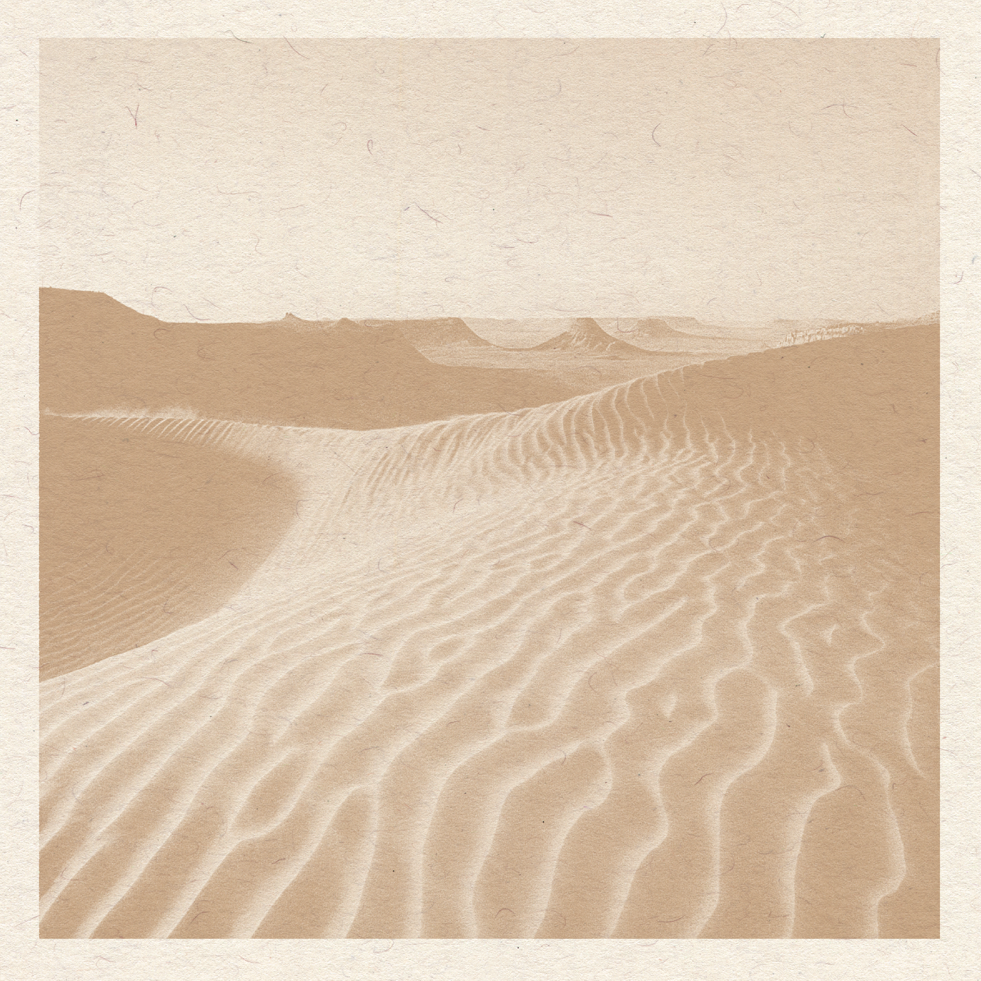 Pink Sands Print