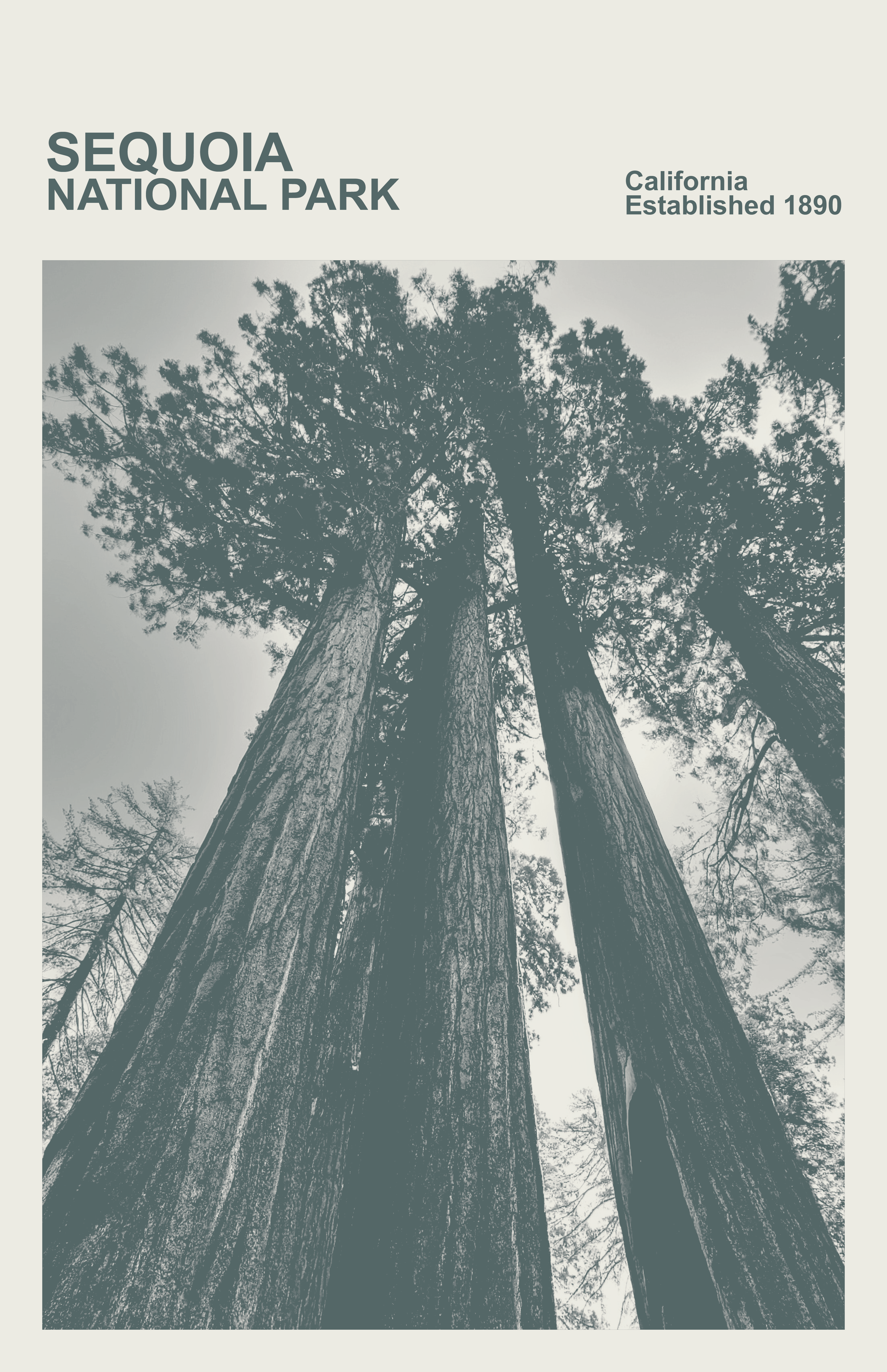 Sequoia National Park Print