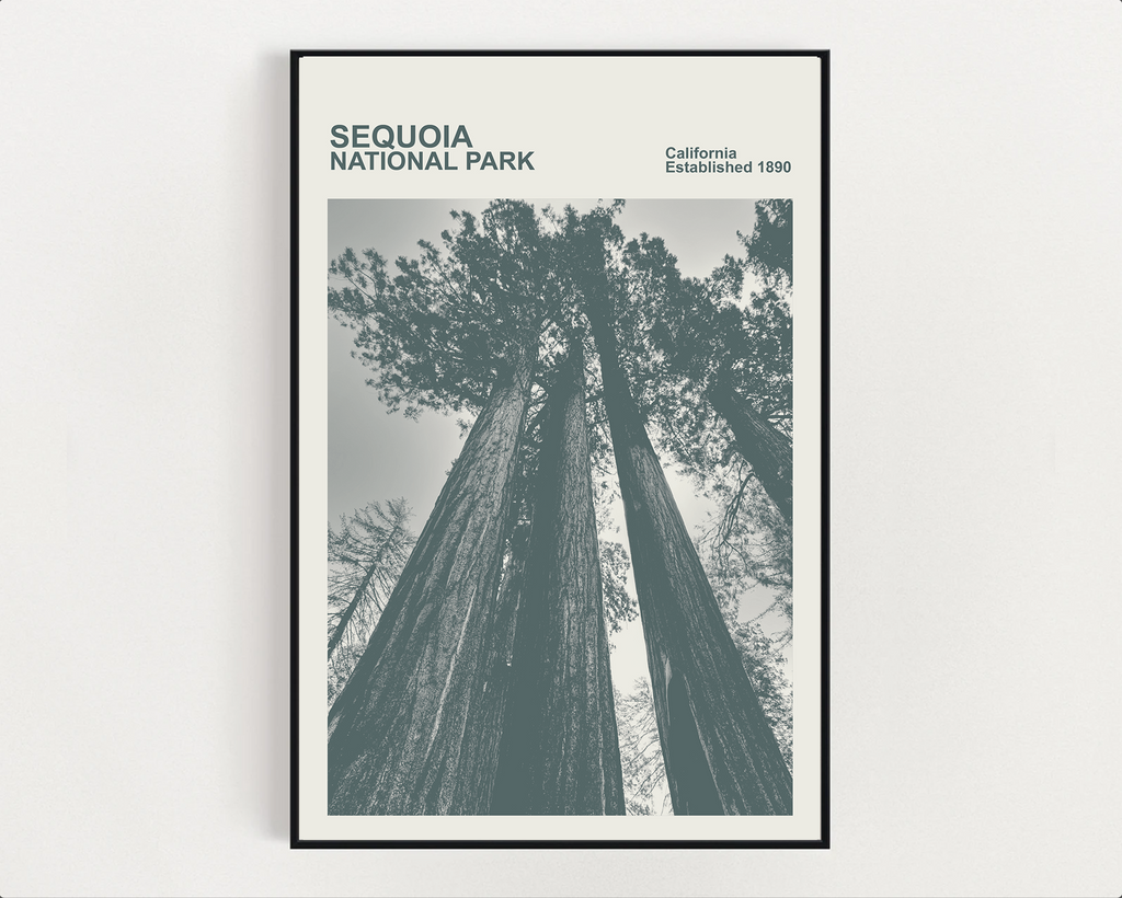 Sequoia National Park Print